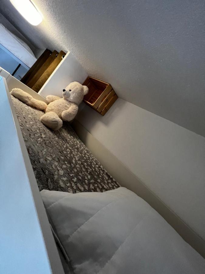 La Joue Du Loup, Aux Pieds Des Pistes Et Vue Sur Montagnes Apartment Bagian luar foto